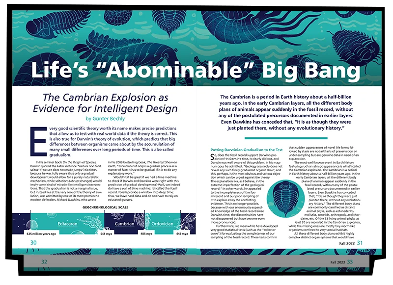 Life's Abominable Big Bang