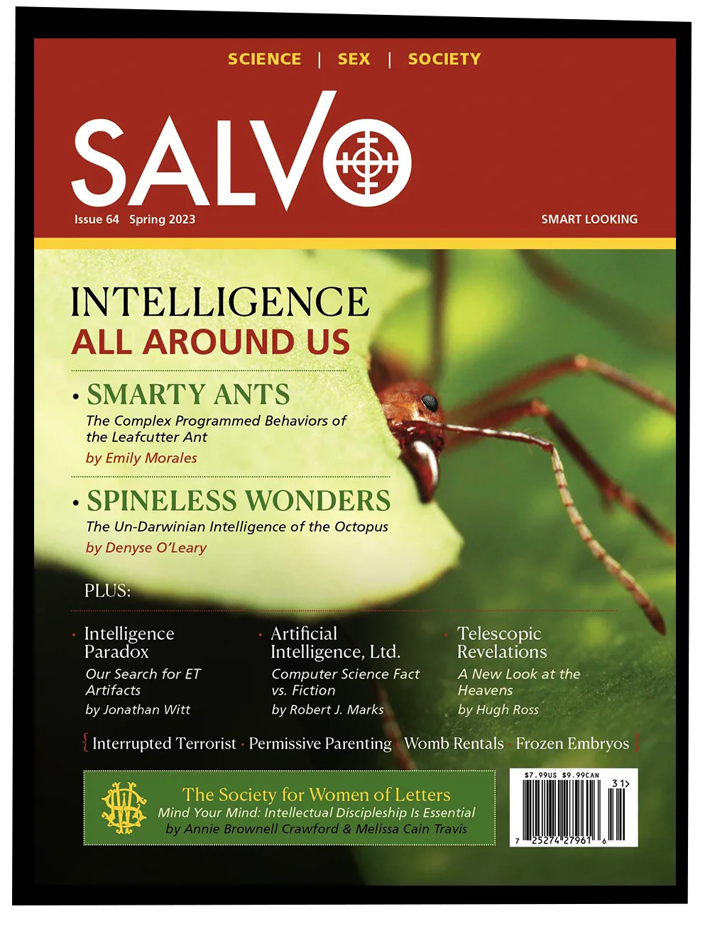 Salvo Issue #64