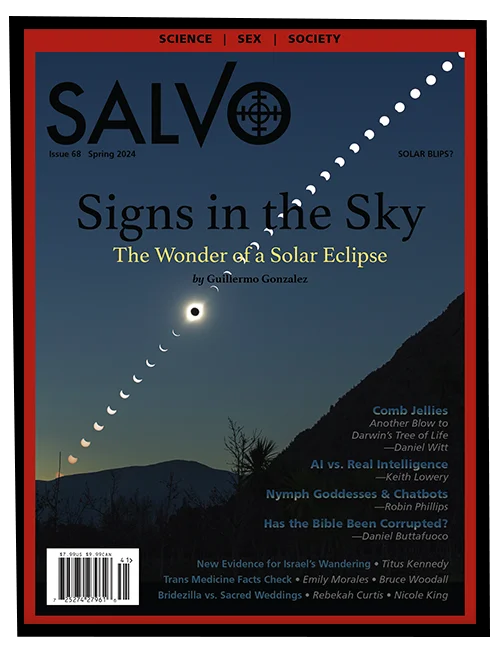 Salvo Issue #68